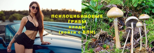 СК Арсеньев