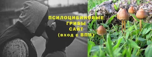 СК Арсеньев