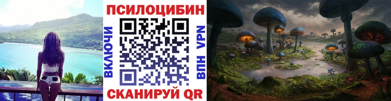 blacksprut ссылка  Балтийск  Псилоцибиновые грибы ЛСД 